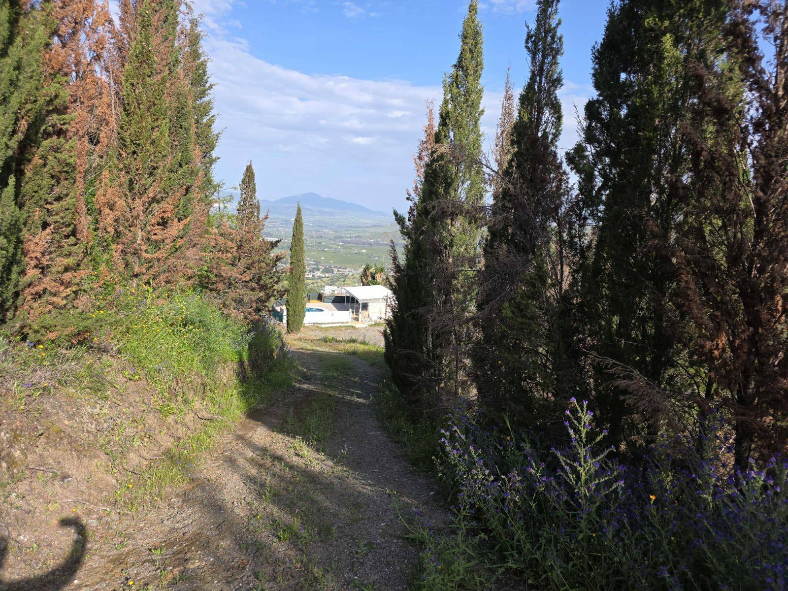 Casa en venta en Cártama