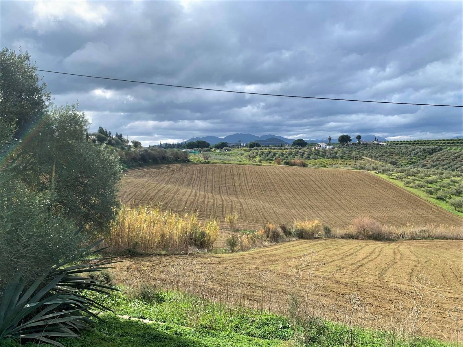 Parcela en venta en Cártama