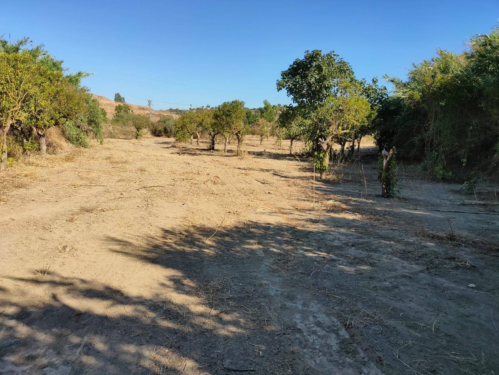 Parcela en venta en Cártama