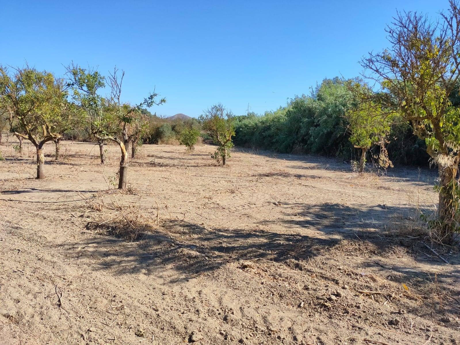 Parcela en venta en Cártama