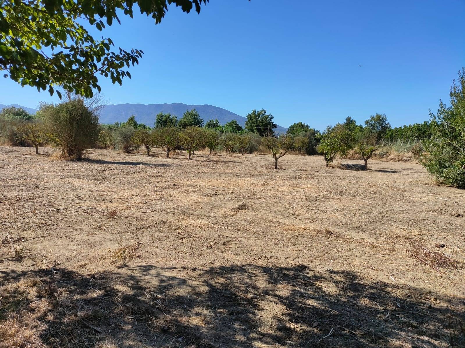 Parcela en venta en Cártama