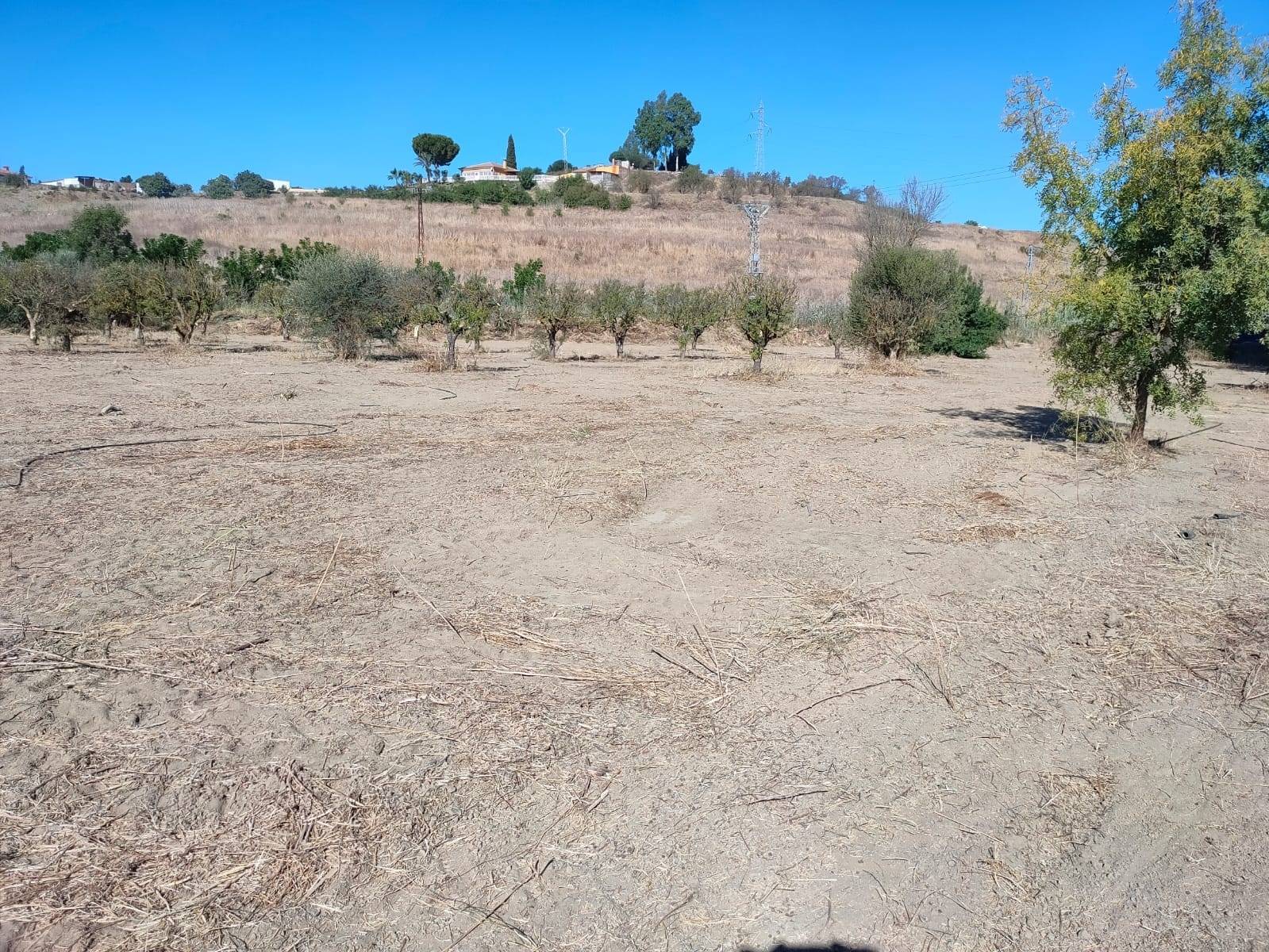 Parcela en venta en Cártama