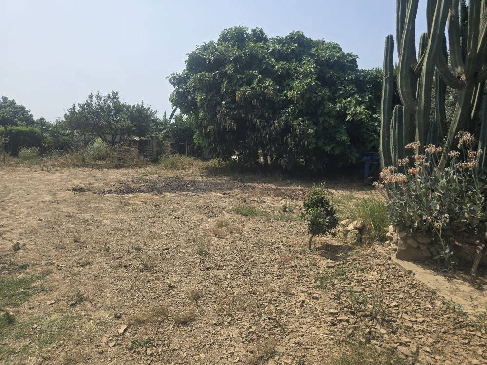 Parcela en venta en Campanillas (Málaga)