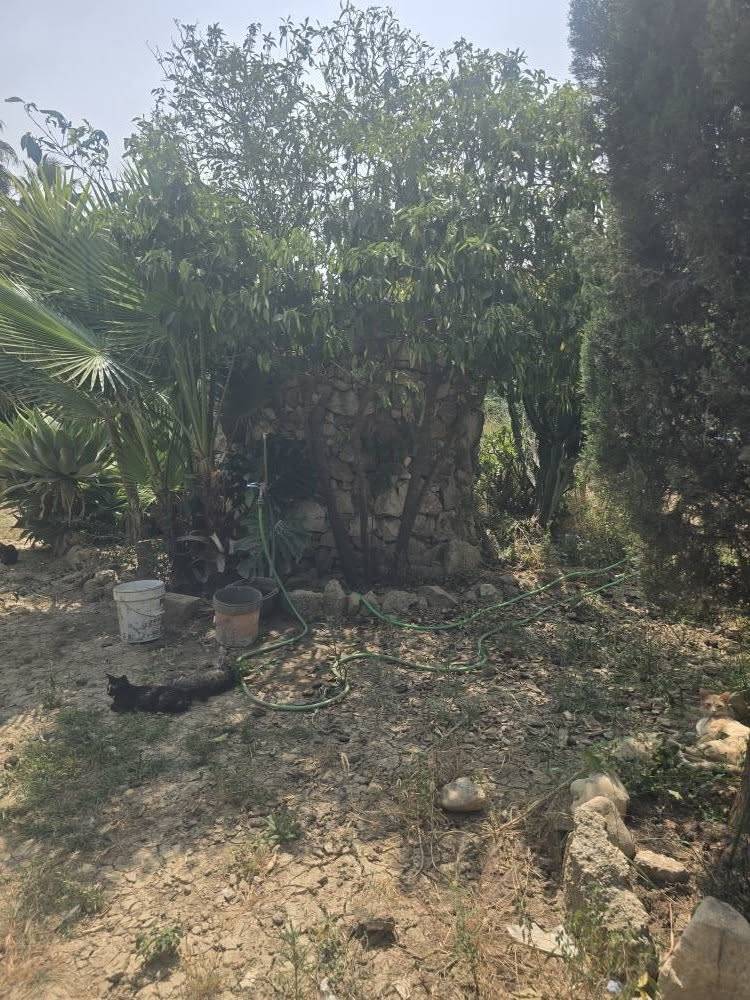 Parcela en venta en Campanillas (Málaga)
