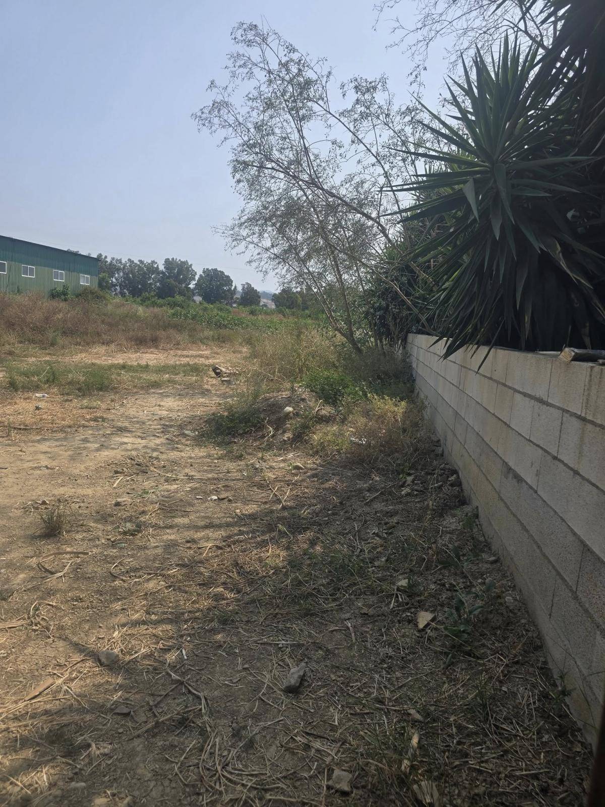 Parcela en venta en Campanillas (Málaga)