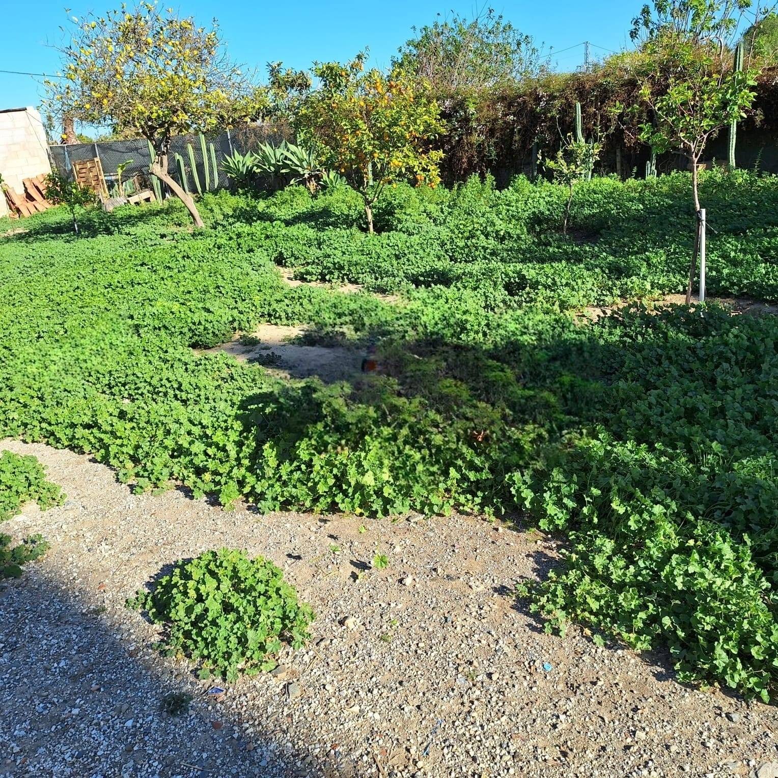 Parcela en venta en Campanillas (Málaga)