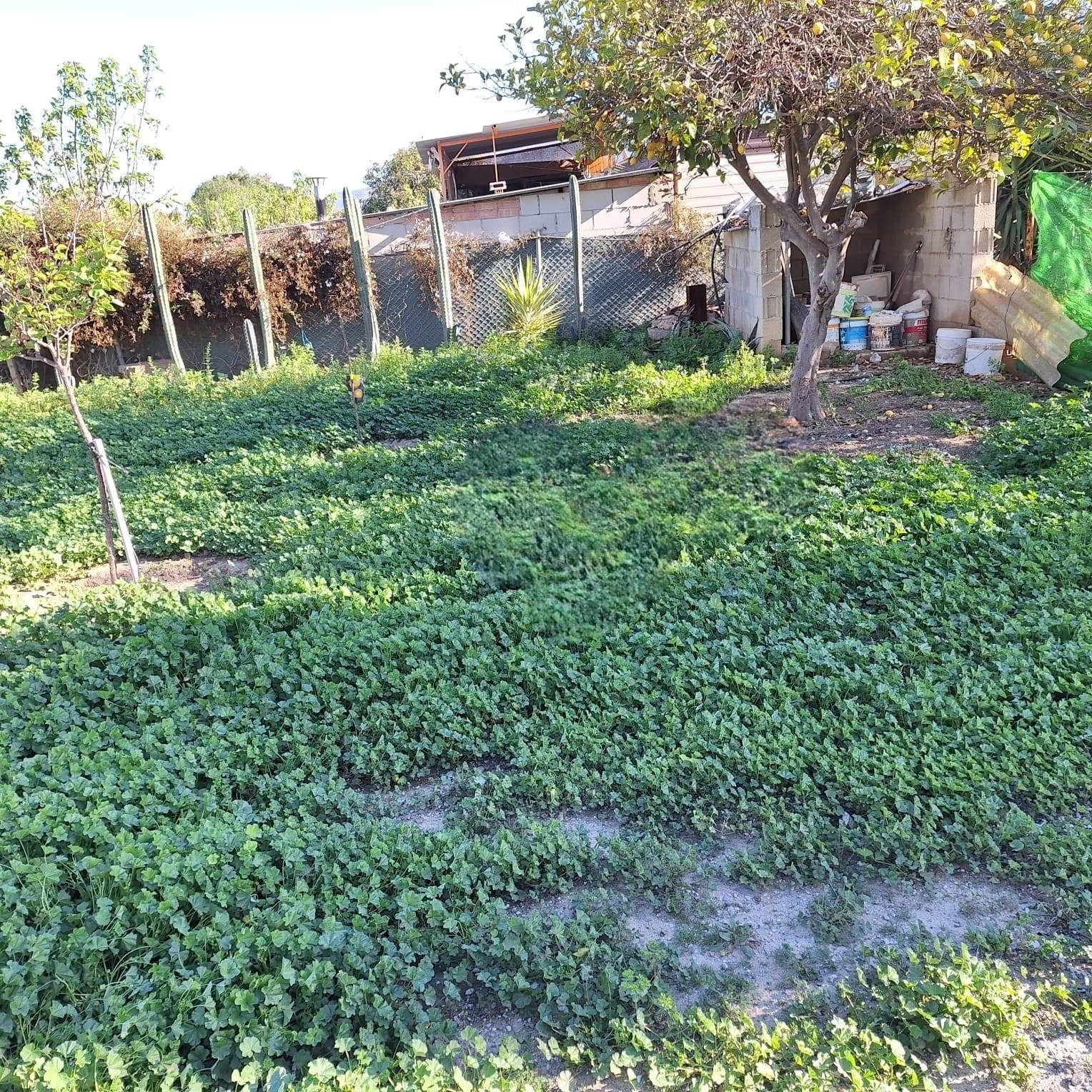 Parcela en venta en Campanillas (Málaga)