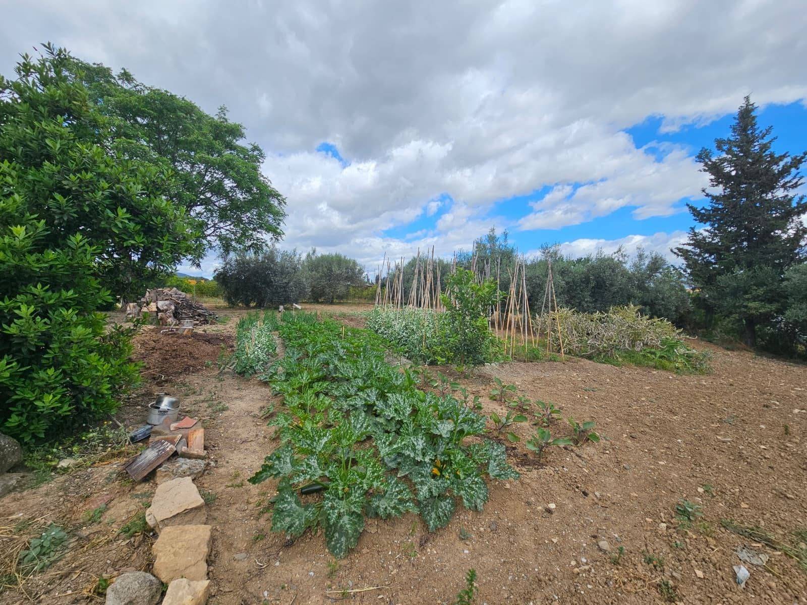 Finca en venta en Campanillas (Málaga)