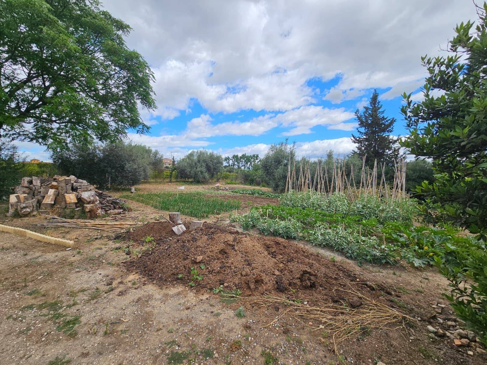 Finca en venta en Campanillas (Málaga)