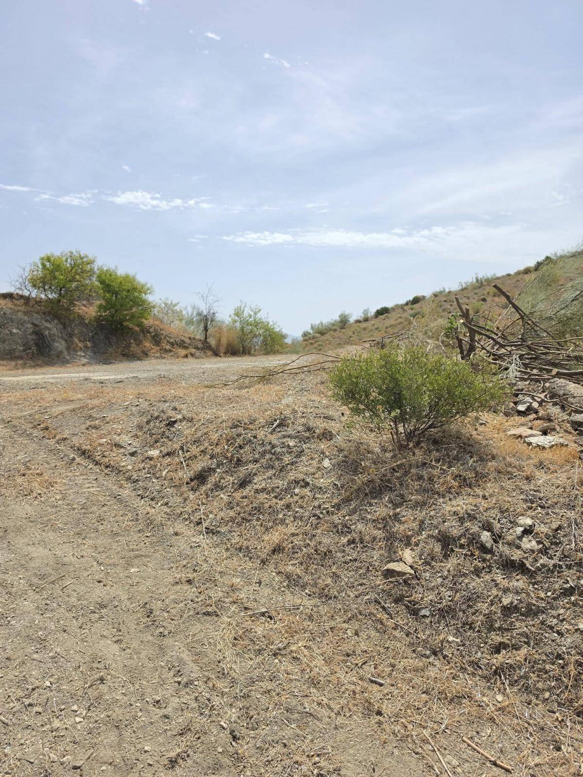Parcela en venta en Almogía