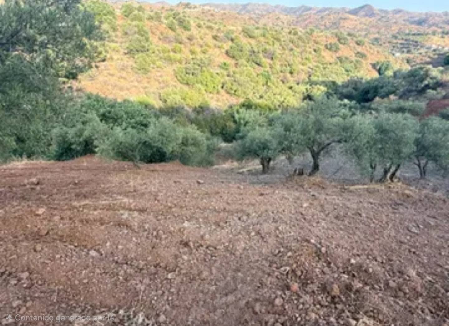 Appezzamento in vendita a Almogía