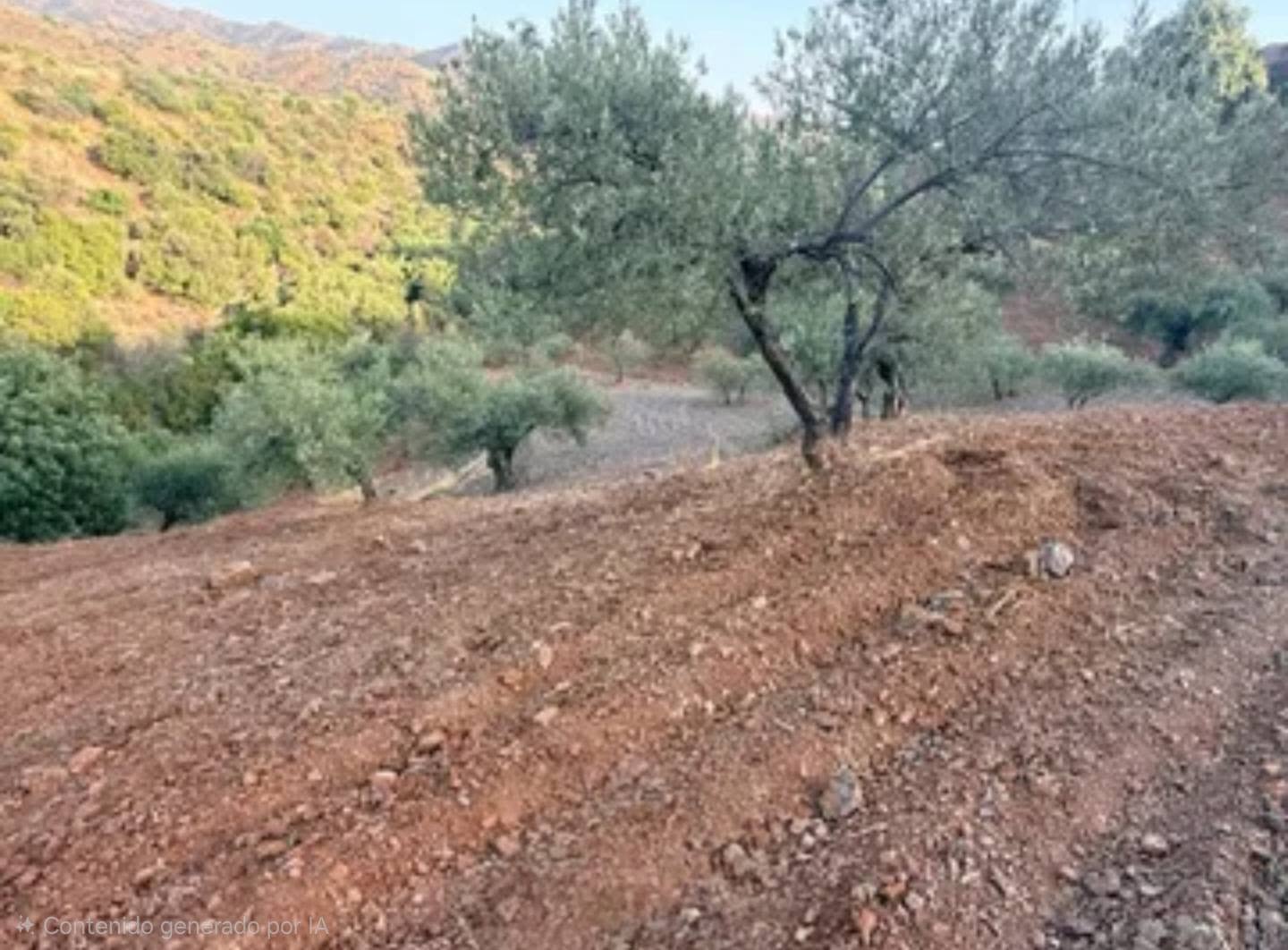 Appezzamento in vendita a Almogía