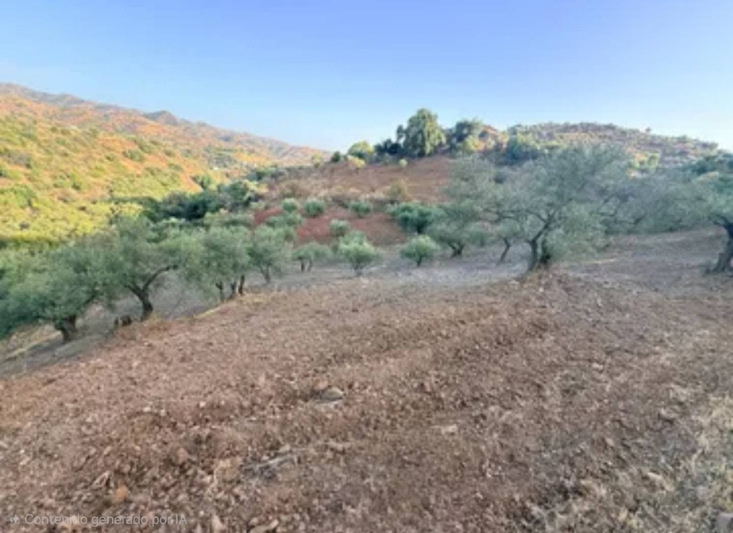 Appezzamento in vendita a Almogía