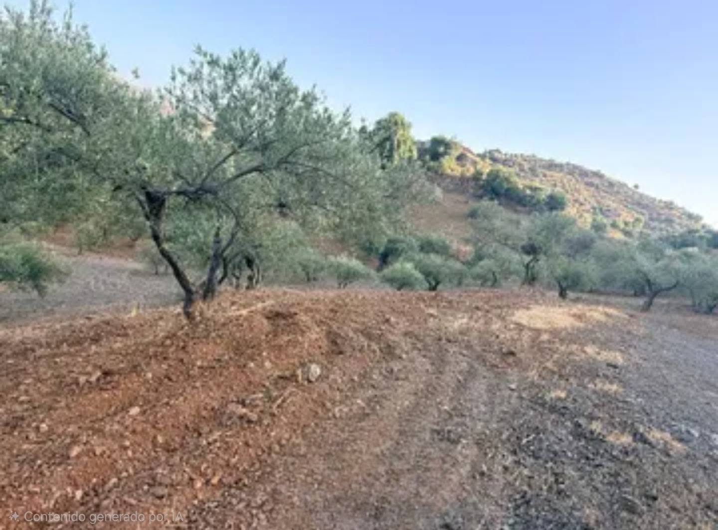 Appezzamento in vendita a Almogía