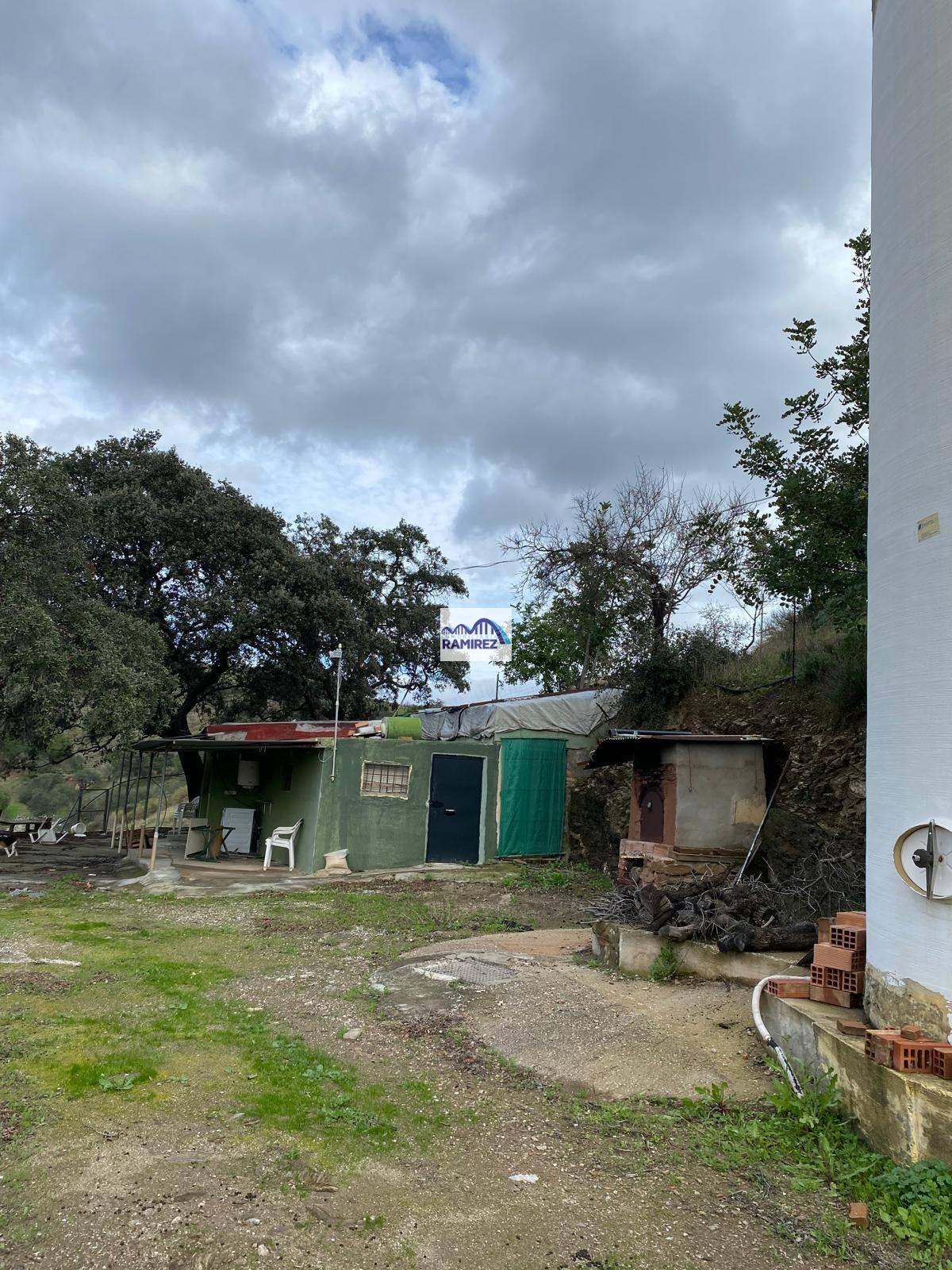 Klik her for at gå til billedgalleriet