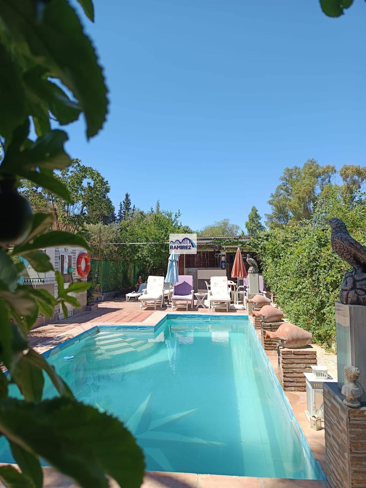 Clicca per andare alla galleria di immagini