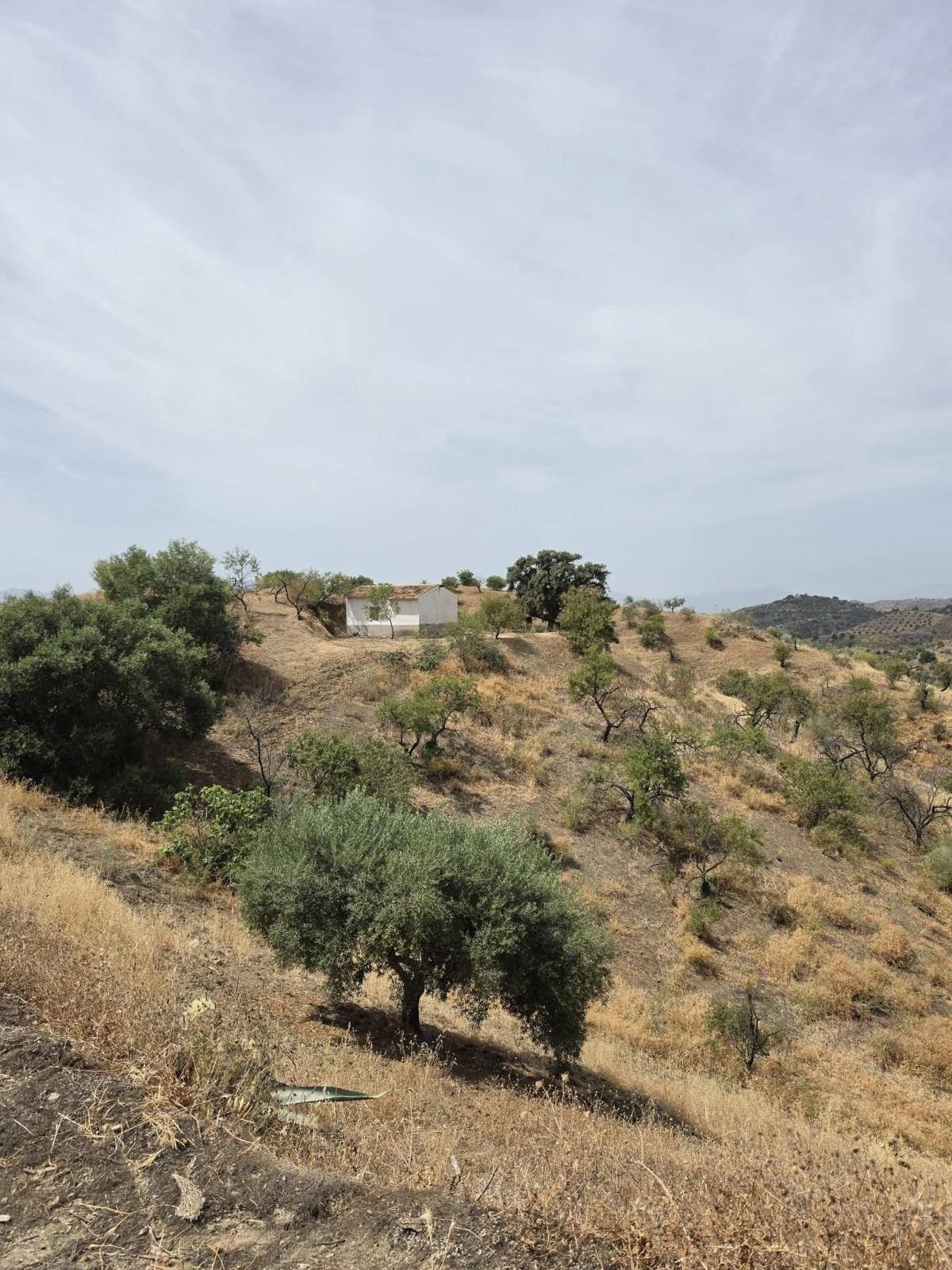Casa en venta en Estación de Cártama