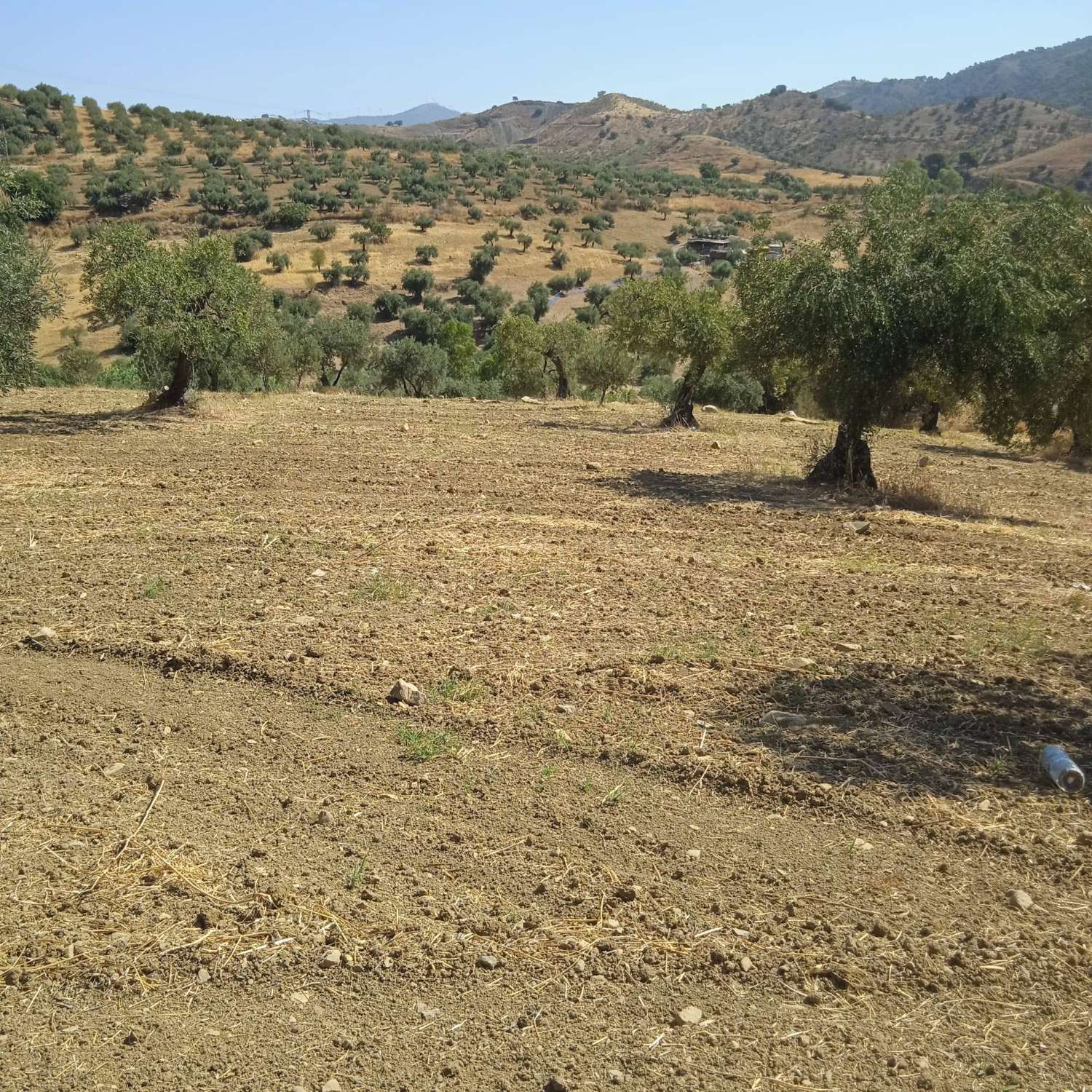Finca Rustica cerca del pueblo Casarabonela